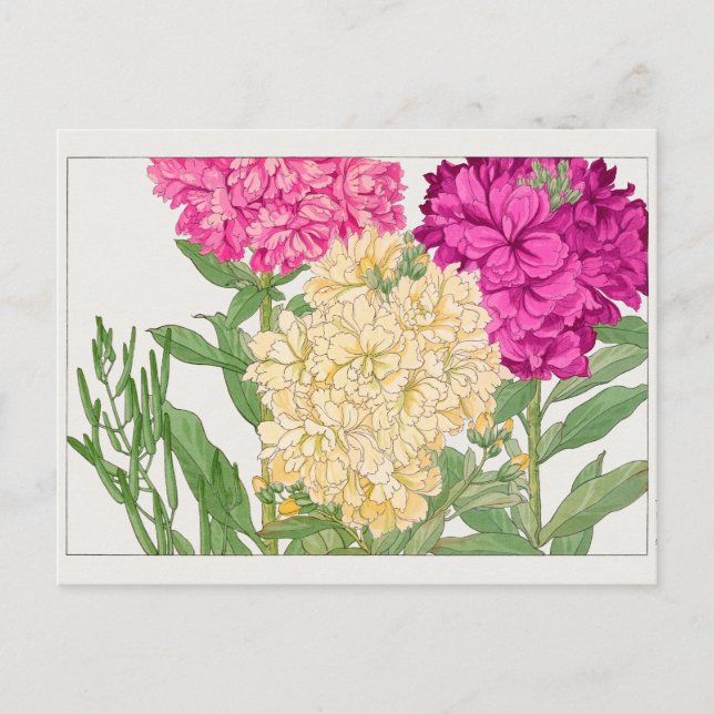 Stock by Tanigami Konan Postcard (Front)