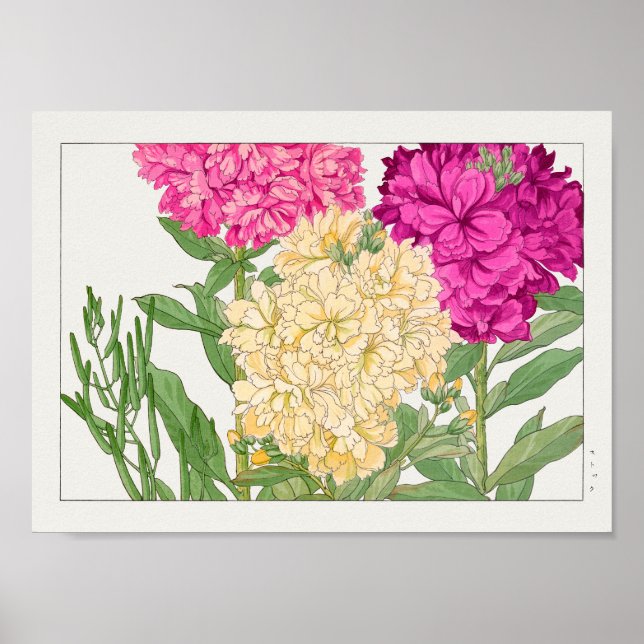 Stock by Tanigami Konan Poster (Front)