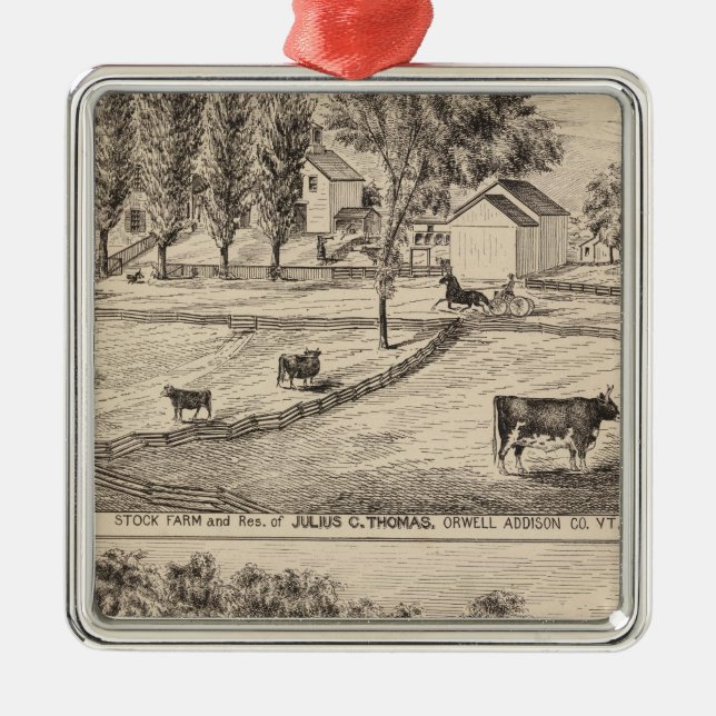 Stock farm in Orwell Vermont Metal Tree Decoration (Front)