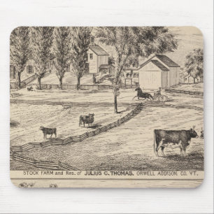 Stock farm in Orwell Vermont Mouse Mat