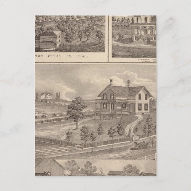 Stock farm postcard (Front)