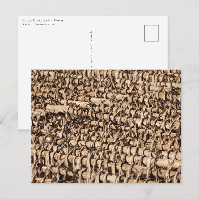 Stockfish Postcard (Front/Back)
