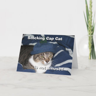 Stocking cap cat is not amused card