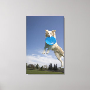 Stockton, California, USA Canvas Print