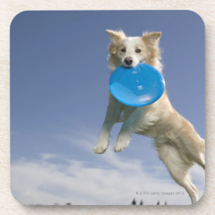 Stockton, California, USA Coaster