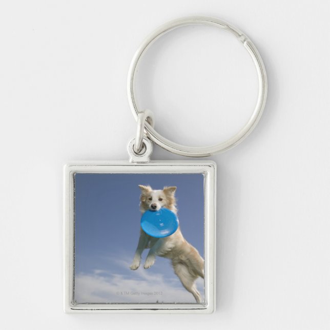 Stockton, California, USA Key Ring (Front)