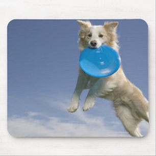 Stockton, California, USA Mouse Mat
