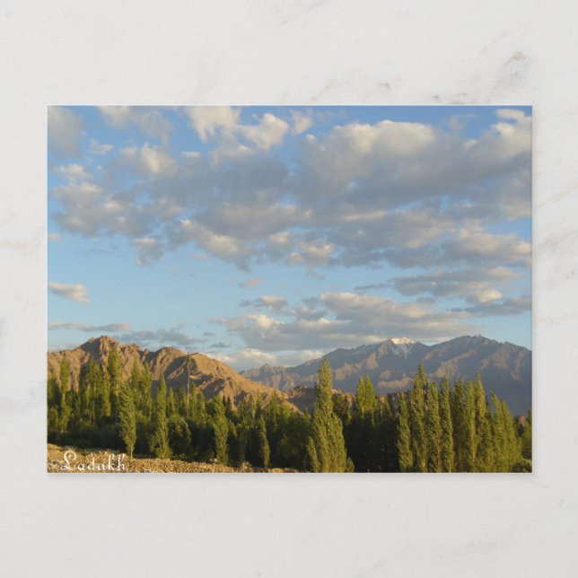 Stok range, Ladakh, India Postcard (Front)