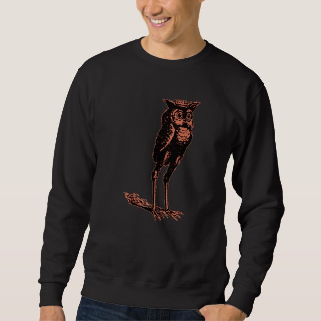 Stolas Goetic Owl Demon Prince Sweatshirt (Front)