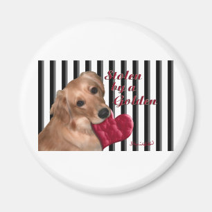 Stolen by a Golden Magnet