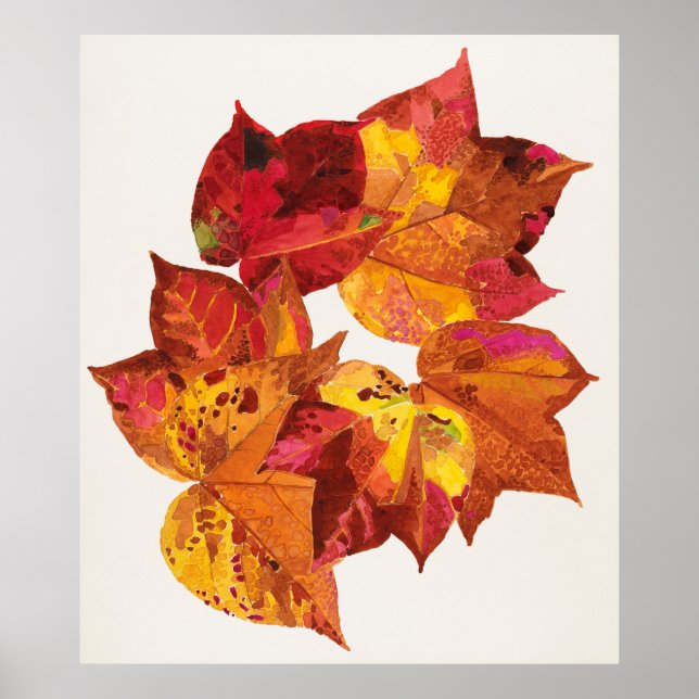 Stolk's Carpente Poster (Front)