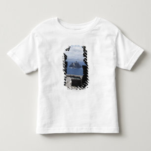 Stone Beehive Monk Huts Clochanson Skellig Michael Toddler T-Shirt