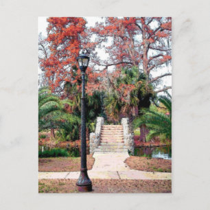 Stone Bridge City Park New Orleans Postcard