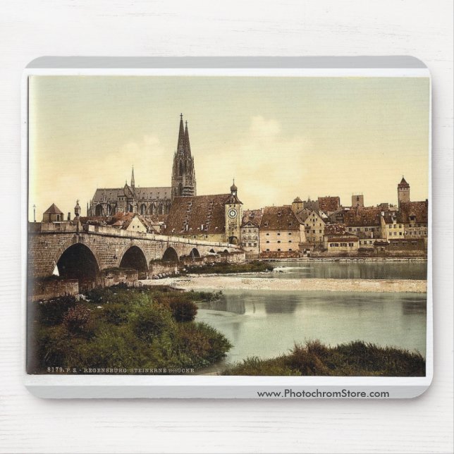 Stone Bridge (i.e. Steinerne Brucke) and cathedral Mouse Mat (Front)