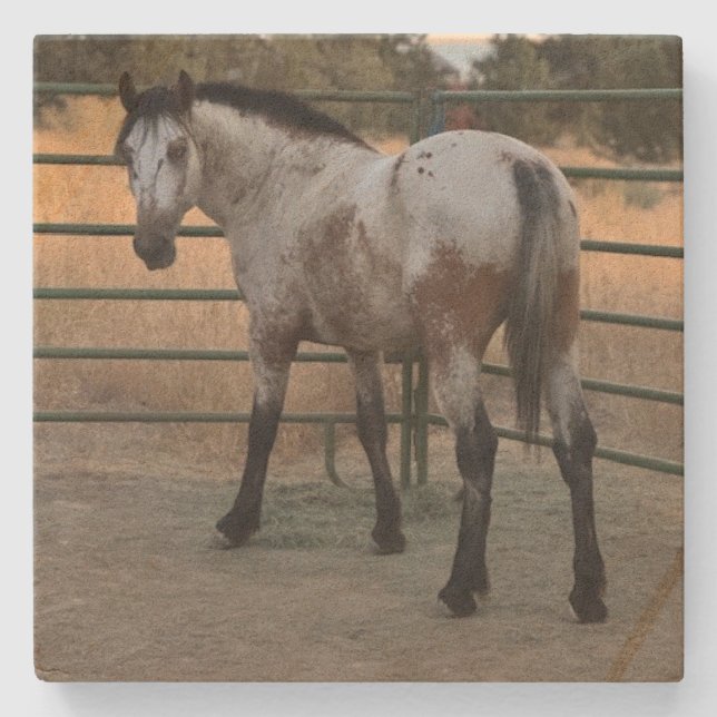 Stone Coaster_appy backside  Coaster (Front)