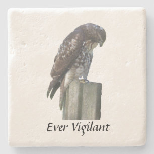 Stone Coaster - Falcon - Ever Vigilant