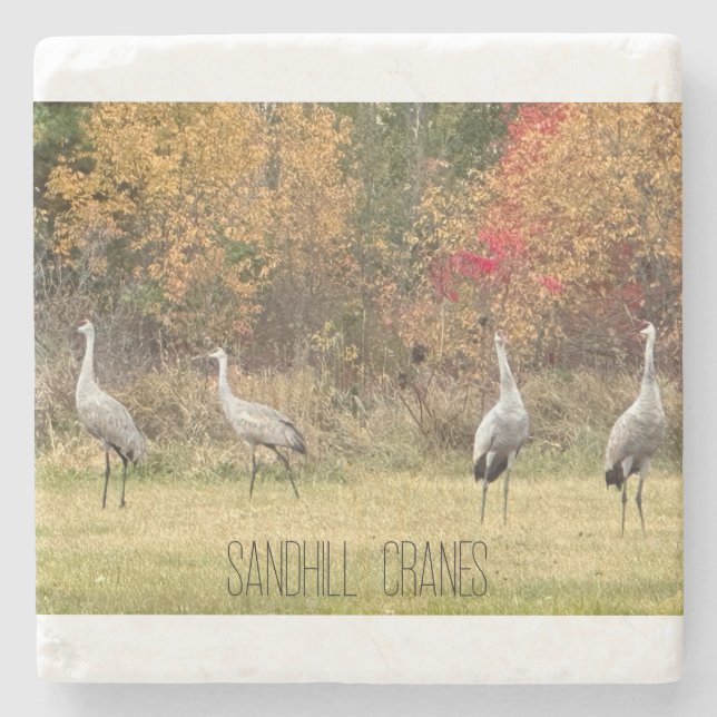 Stone Coaster - Sandhill Cranes (Front)