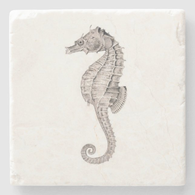 Stone Coaster-Seahorse Stone Coaster (Front)