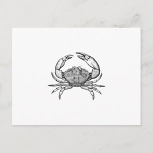 Stone Crab Logo (line art) Postcard