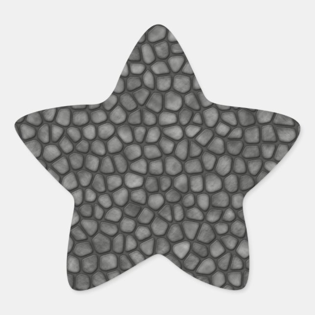Stone Floor Star Sticker (Front)