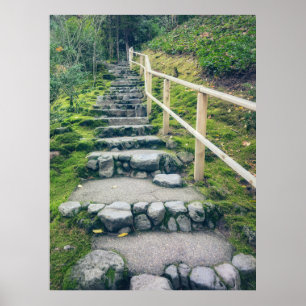 Stone Footpath into Lush Forest Poster