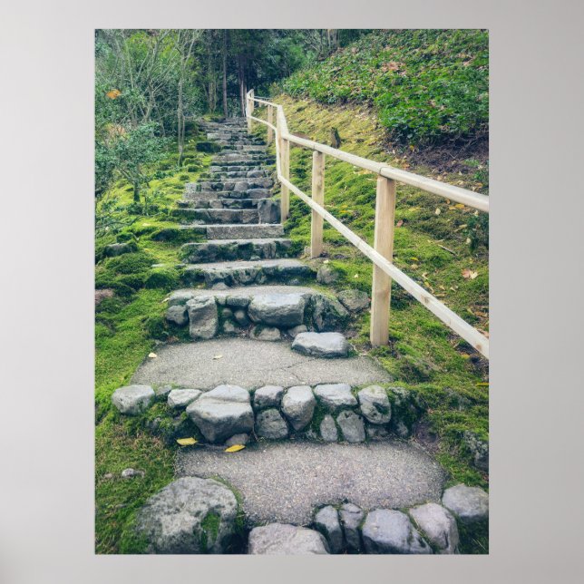 Stone Footpath into Lush Forest Poster (Front)