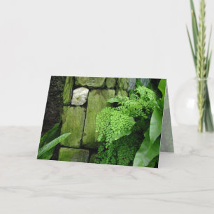 Stone Garden: Aristotle - Greeting Card
