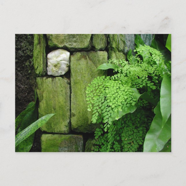 Stone Garden - Postcard (Front)