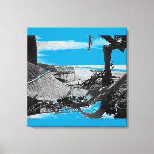 Stone Island Hammock B+W Canvas Print