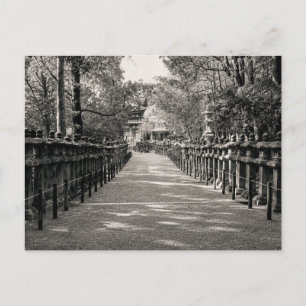 Stone Lantern Path at a Japanese Shrine – Black an Postcard
