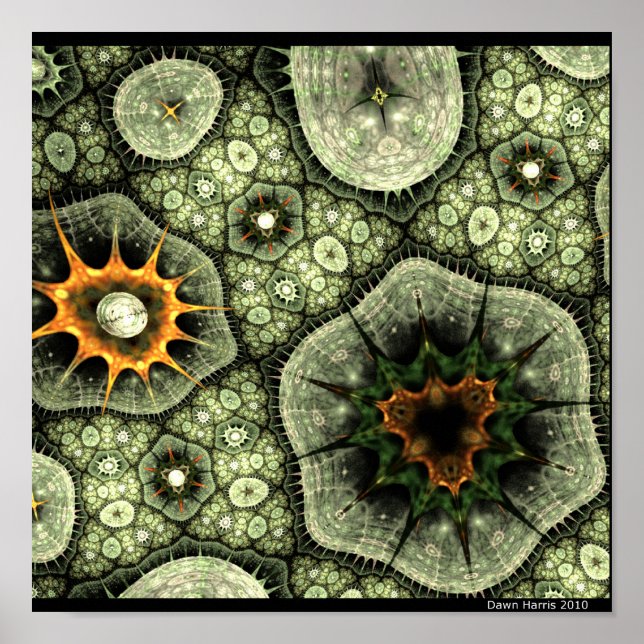 Stone Lichen Poster (Front)