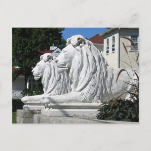 Stone Lions Postcard