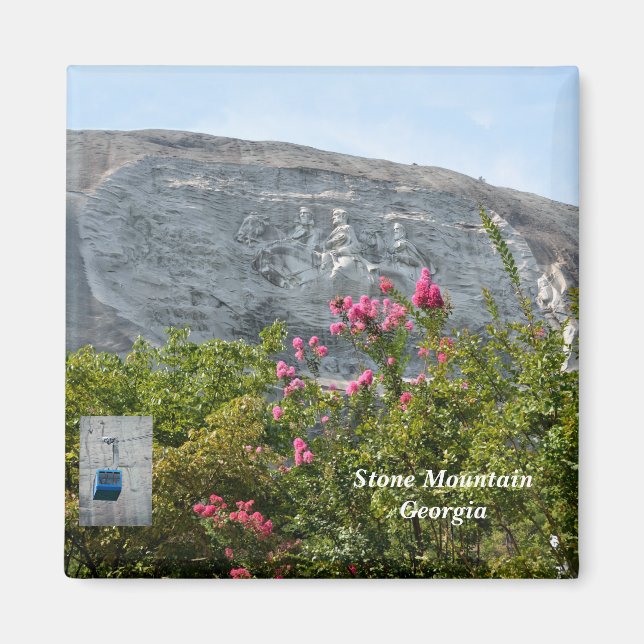 Stone Mountain Georgia  Magnet (Front)