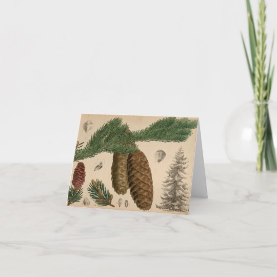 Stone Pine Christmas Card