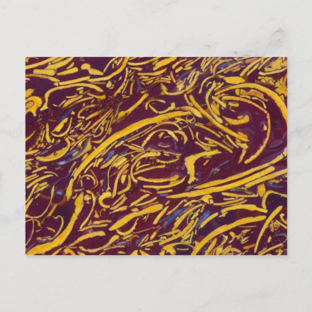 Stone Script Postcard (Front)
