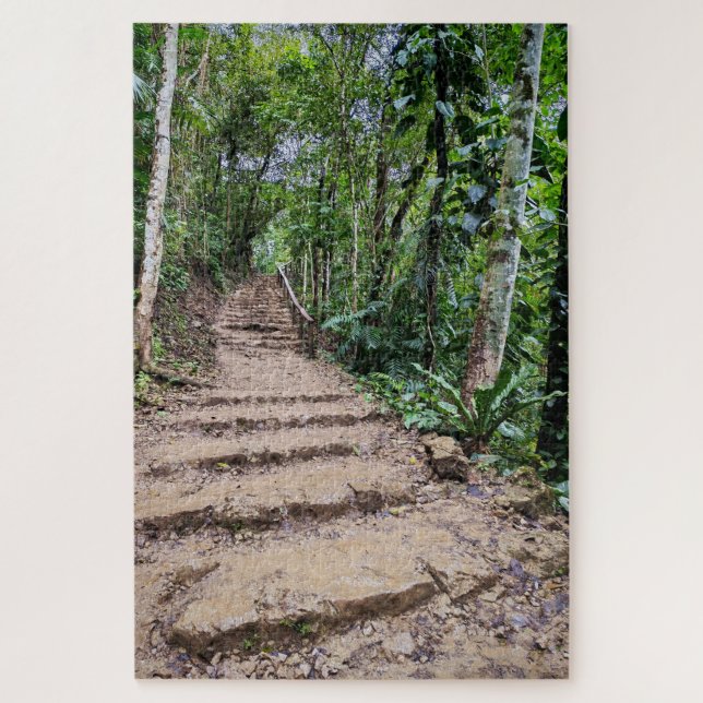 Stone Steps Through Green Jigsaw Puzzle (Vertical)
