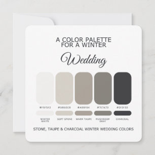 Stone Taupe Charcoal Winter Wedding Palette Card