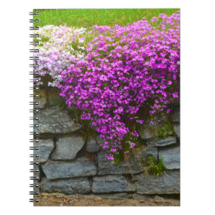 Stone Wall & Phlox Notebook