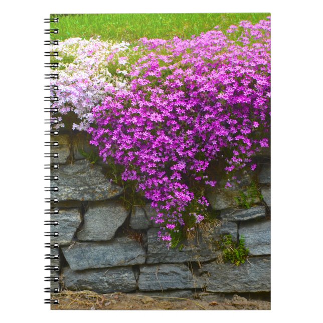 Stone Wall & Phlox Notebook (Front)