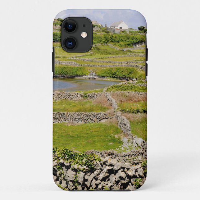 Stone Walls of Ireland Case-Mate iPhone Case (Back)
