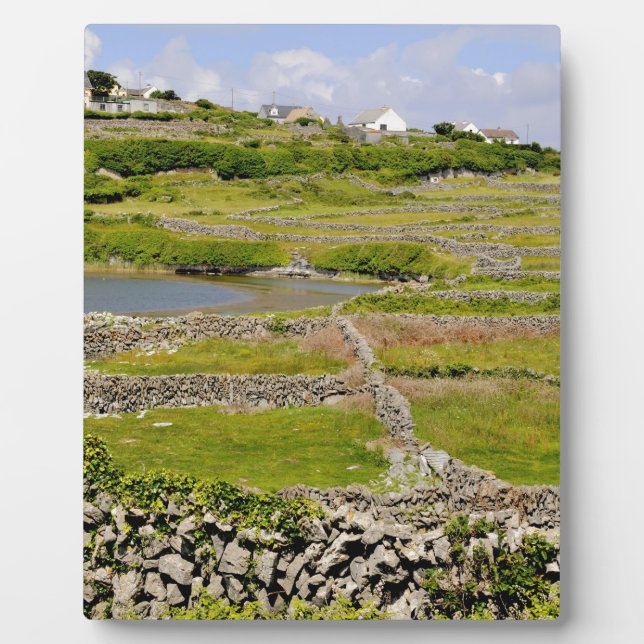 Stone Walls of Ireland Plaque (Front)