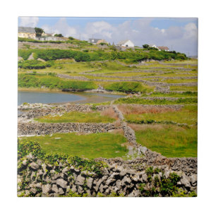 Stone Walls of Ireland Tile