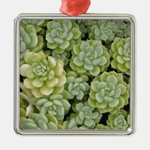Stonecrop plant pattern metal tree decoration