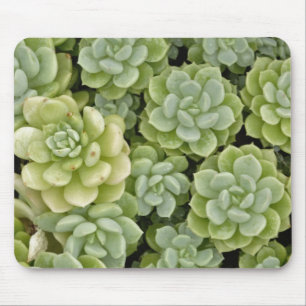 Stonecrop plant pattern mouse mat