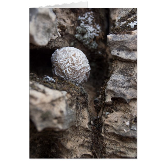 Stones | Desert Rose 136 (Front)