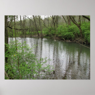 Stone's River Poster