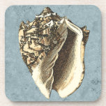 Stonewashed Conch Shell Coaster<br><div class="desc">Get this unique stonewashed Conch seashell image on your next product. This amazing,  blue background with a tan Conch will look great on anything. Take the beach with you everywhere you go.</div>