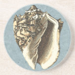 Stonewashed Conch Shell Coaster<br><div class="desc">Get this unique stonewashed Conch seashell image on your next product. This amazing,  blue background with a tan Conch will look great on anything. Take the beach with you everywhere you go.</div>