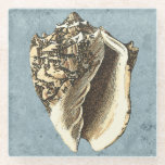 Stonewashed Conch Shell Glass Coaster<br><div class="desc">Get this unique stonewashed Conch seashell image on your next product. This amazing,  blue background with a tan Conch will look great on anything. Take the beach with you everywhere you go.</div>