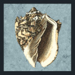 Stonewashed Conch Shell Poster<br><div class="desc">Get this unique stonewashed Conch seashell image on your next product. This amazing,  blue background with a tan Conch will look great on anything. Take the beach with you everywhere you go.</div>